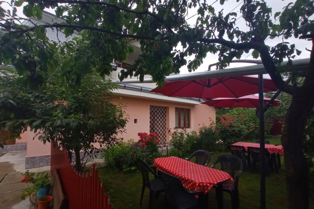 Bed and Breakfast Casa La Agapia Esterno foto