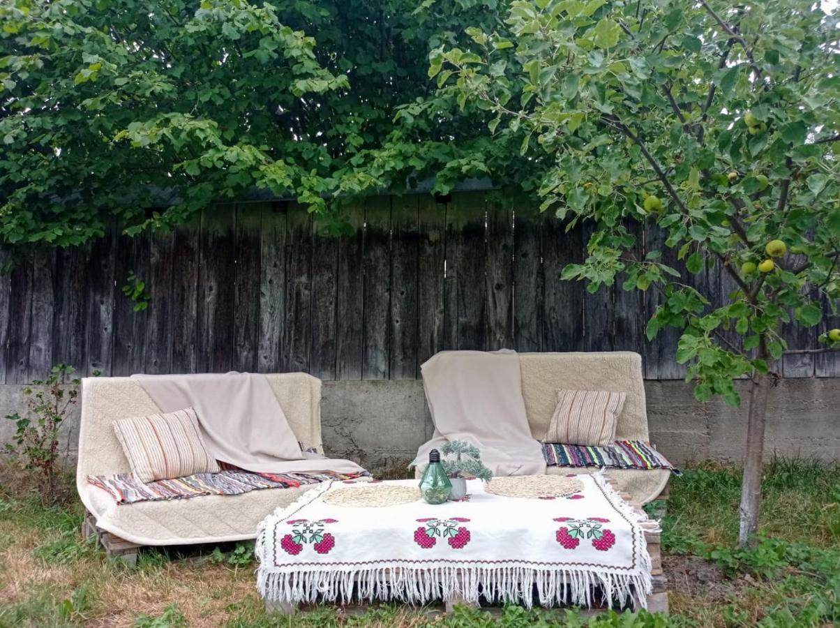 Bed and Breakfast Casa La Agapia Esterno foto