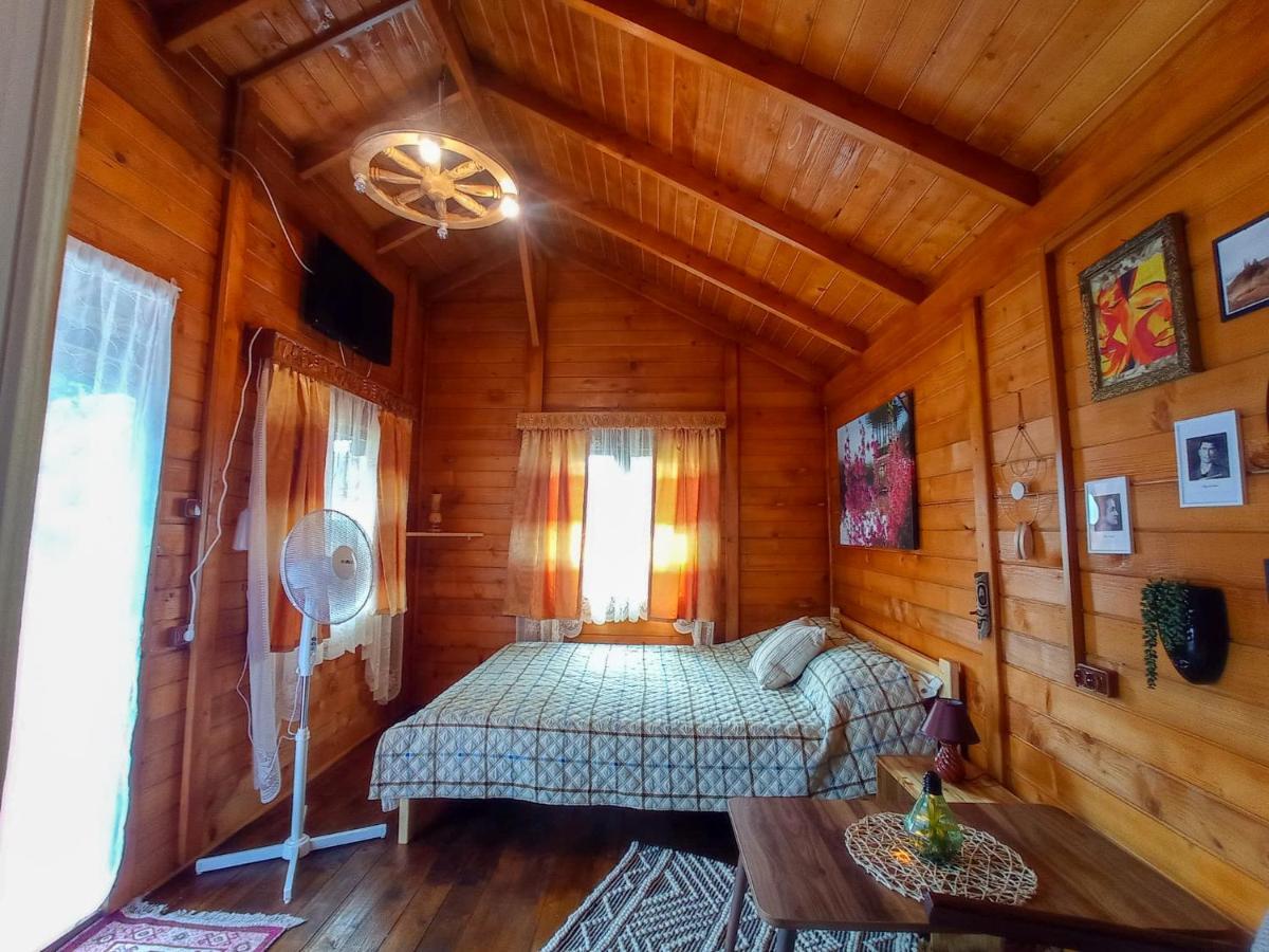 Bed and Breakfast Casa La Agapia Esterno foto